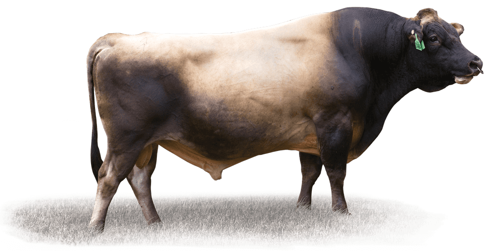 FLOYD - Génétique Pâturante