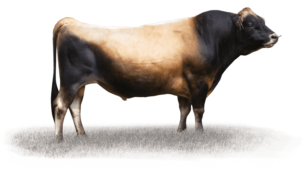 TRIGGER - Génétique Pâturante