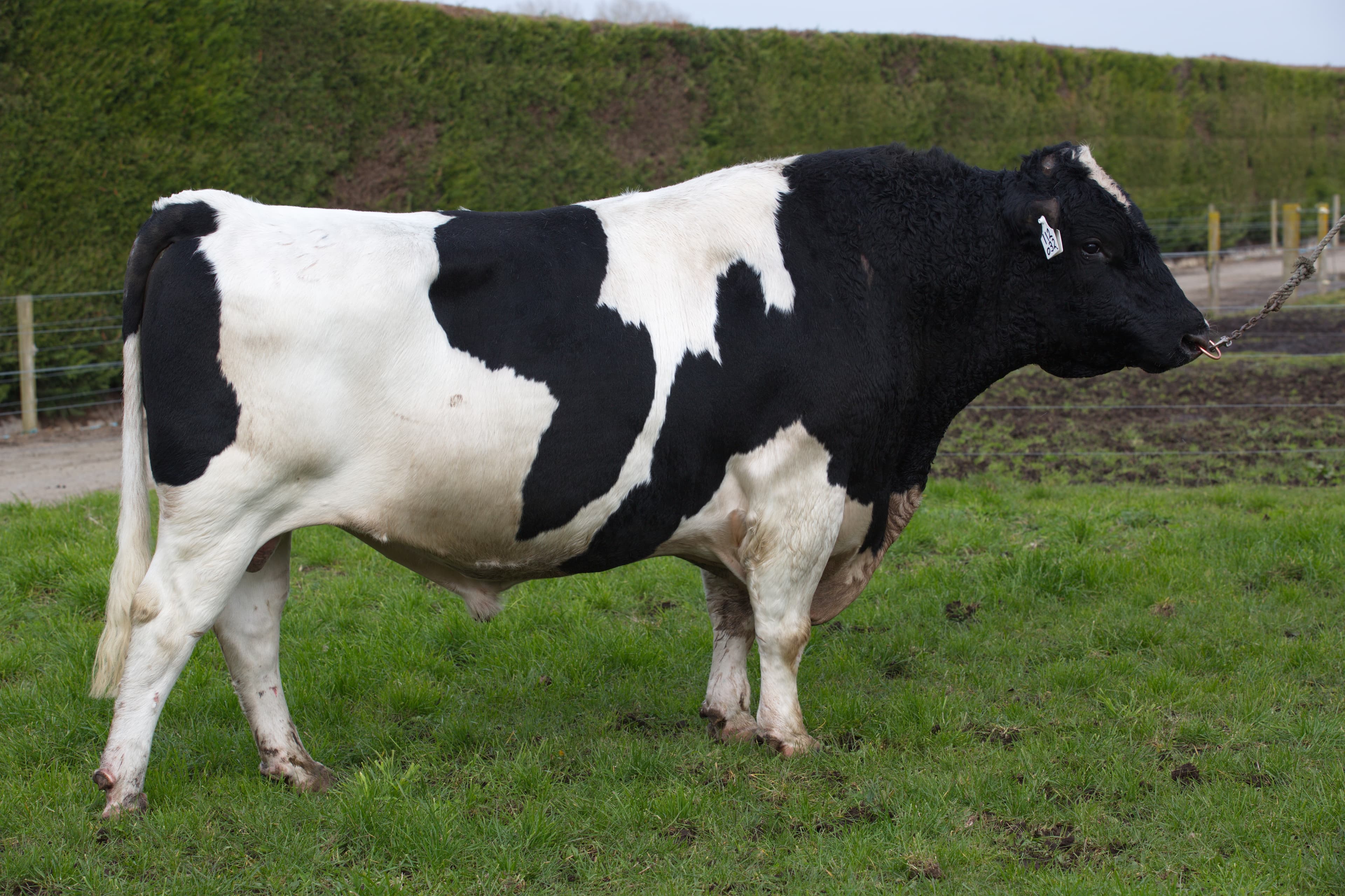 Image de Jacles Boy Jaks S2F