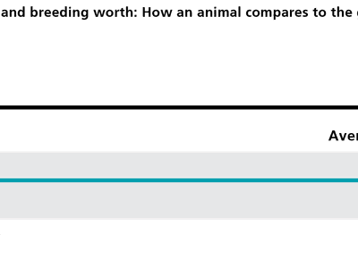 A propos de l'index BW