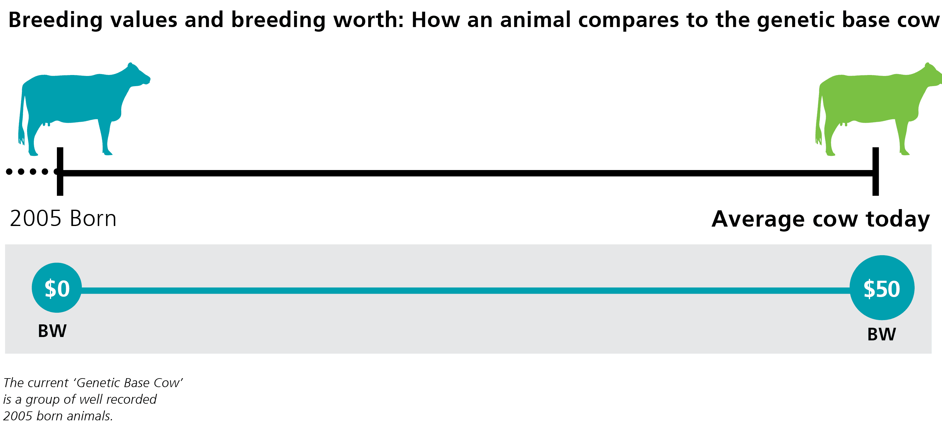 A propos de l'index BW