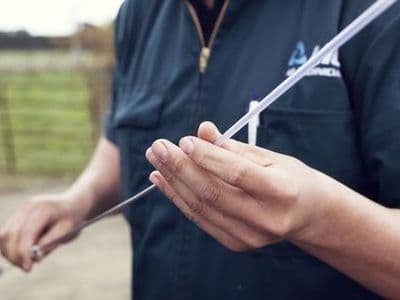 Choix des nouveaux taureaux pour 2023