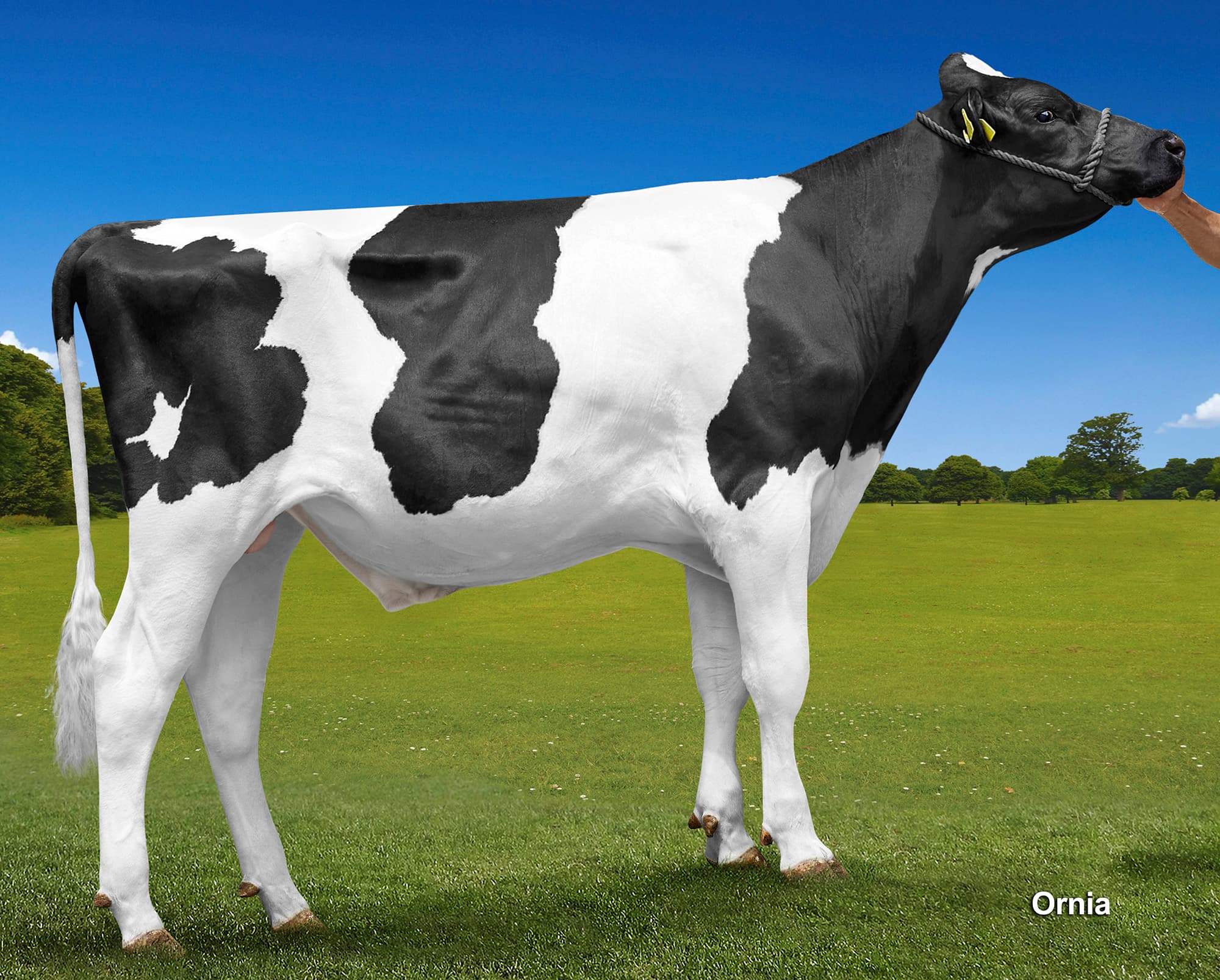 Image de Dolomita Delta Jaidyn