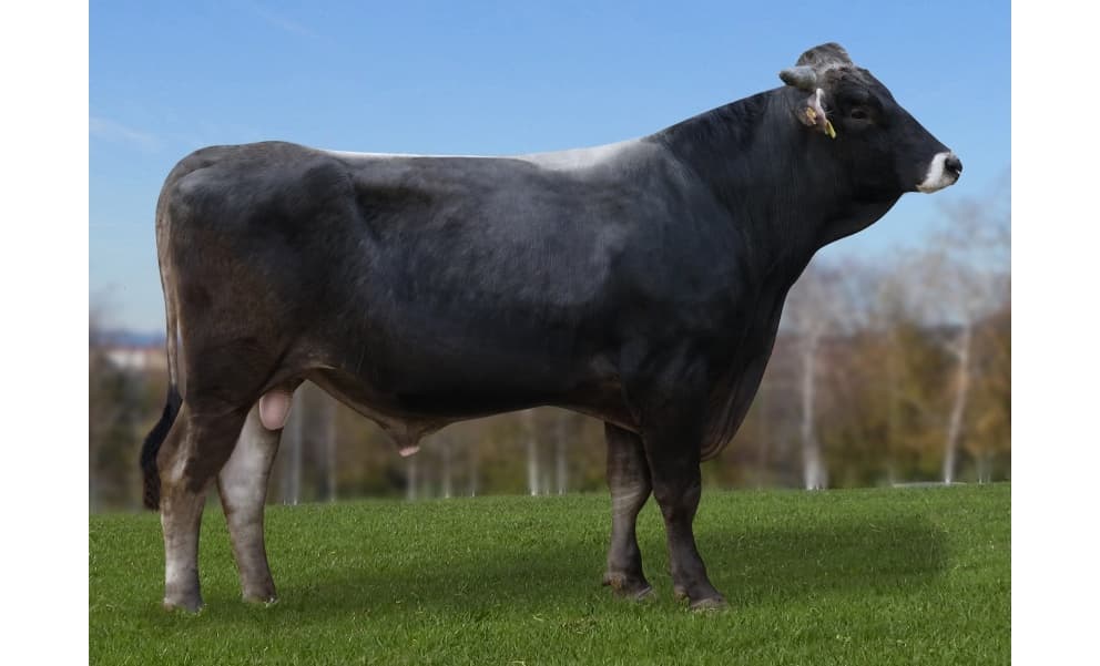 Image de Expedition Rodelos