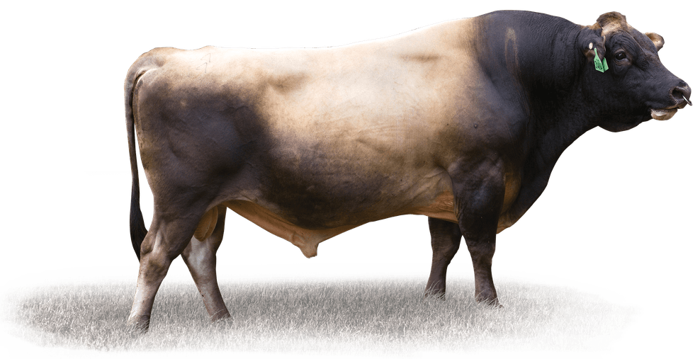 Image de Cloches Oi Floyd S3J