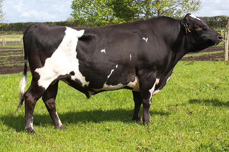 Image de Glen Koru Epic