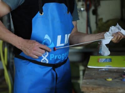 Protocole d'utilisation des semences sexées.