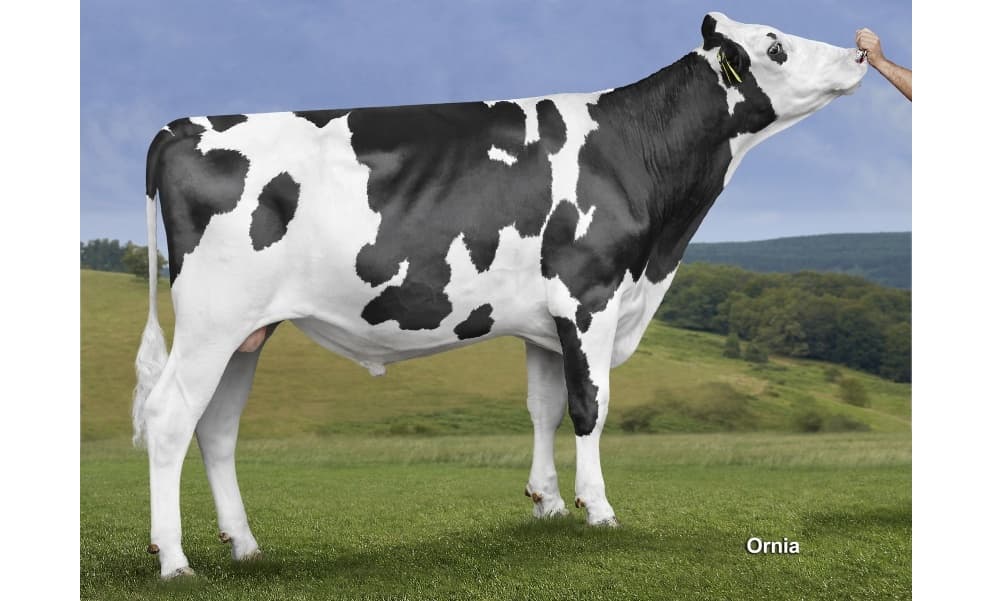 Image de Sky Booking