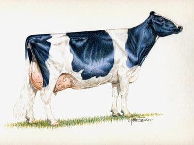 Sélectionner et accoupler pour mieux gérer !