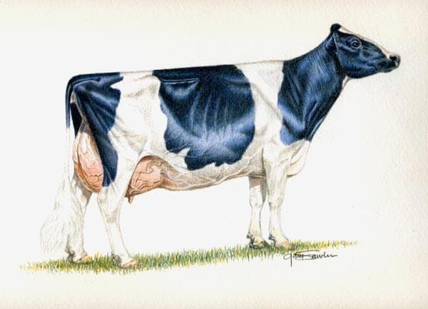 Sélectionner et accoupler pour mieux gérer !