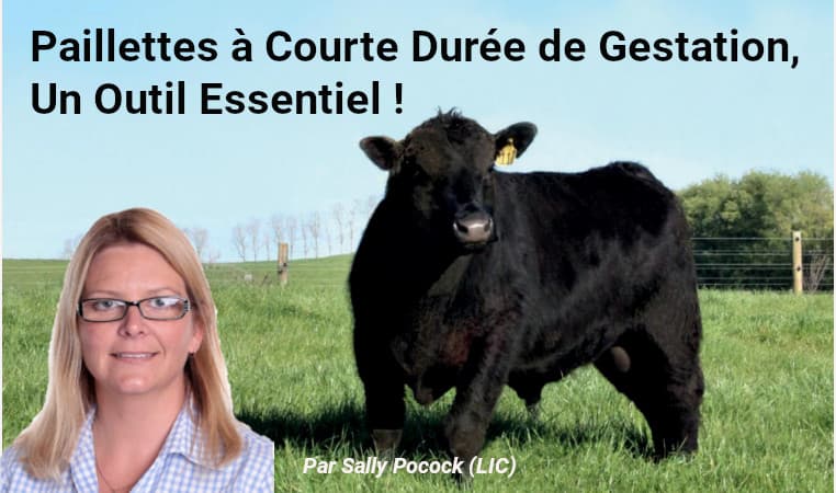 Image de couverture pour l'article Paillettes à Courte Durée de Gestation - Un Outil Essentiel