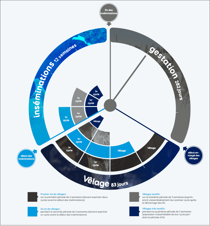 Graphique la course contre la montre